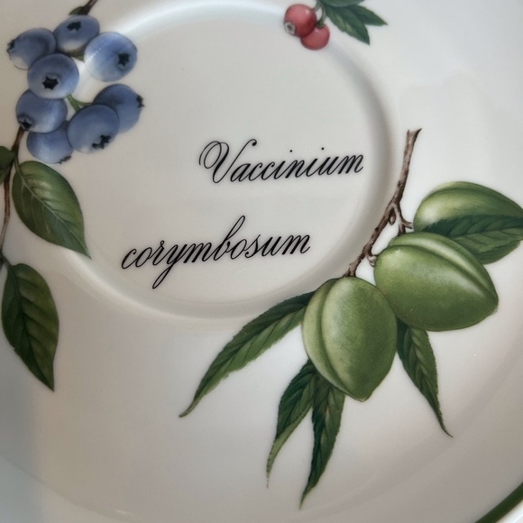 Apilco French Elysian Garden Porcelaine Oversized Breakfast Cup and Saucer - Picture 11 of 15